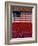 US Flag on Barn and Tulip Field, Skagit Valley, Washington, USA-William Sutton-Framed Photographic Print