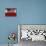 US Flag on Barn and Tulip Field, Skagit Valley, Washington, USA-William Sutton-Photographic Print displayed on a wall