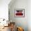 US Flag on Barn and Tulip Field, Skagit Valley, Washington, USA-William Sutton-Framed Photographic Print displayed on a wall