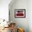 US Flag on Barn and Tulip Field, Skagit Valley, Washington, USA-William Sutton-Framed Photographic Print displayed on a wall