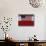 US Flag on Barn and Tulip Field, Skagit Valley, Washington, USA-William Sutton-Photographic Print displayed on a wall