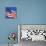 US Flag-Nathan Griffith-Photographic Print displayed on a wall