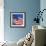 US Flag-Nathan Griffith-Framed Photographic Print displayed on a wall