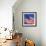 US Flag-Nathan Griffith-Framed Photographic Print displayed on a wall