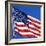 US Flag-Nathan Griffith-Framed Photographic Print