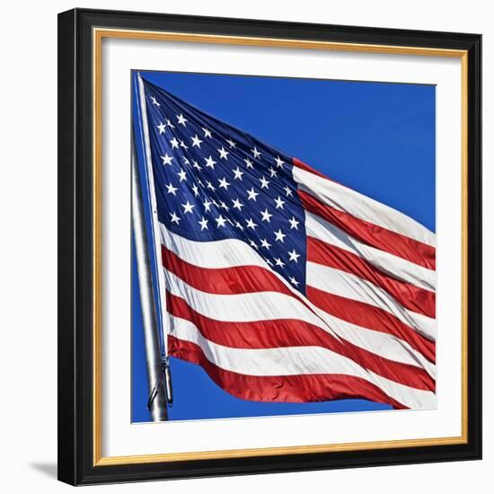 US Flag-Nathan Griffith-Framed Photographic Print