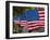 Us Flags Attached to a Fence in Key West, Florida, United States of America, North America-Donald Nausbaum-Framed Photographic Print