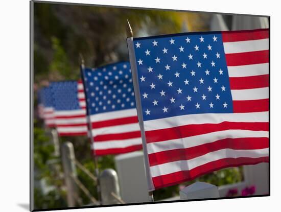 Us Flags Attached to a Fence in Key West, Florida, United States of America, North America-Donald Nausbaum-Mounted Photographic Print