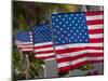 Us Flags Attached to a Fence in Key West, Florida, United States of America, North America-Donald Nausbaum-Mounted Photographic Print