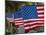 Us Flags Attached to a Fence in Key West, Florida, United States of America, North America-Donald Nausbaum-Mounted Photographic Print