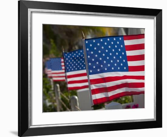 Us Flags Attached to a Fence in Key West, Florida, United States of America, North America-Donald Nausbaum-Framed Photographic Print