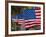 Us Flags Attached to a Fence in Key West, Florida, United States of America, North America-Donald Nausbaum-Framed Photographic Print