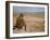 US General George S. Patton Watches Battle Between German and American Forces in El Guettar Valley-Eliot Elisofon-Framed Premium Photographic Print