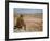 US General George S. Patton Watches Battle Between German and American Forces in El Guettar Valley-Eliot Elisofon-Framed Premium Photographic Print