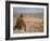 US General George S. Patton Watches Battle Between German and American Forces in El Guettar Valley-Eliot Elisofon-Framed Premium Photographic Print