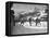 US Hockey Team Playing the Swiss at the Winter Olympics-null-Framed Premier Image Canvas