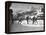 US Hockey Team Playing the Swiss at the Winter Olympics-null-Framed Premier Image Canvas