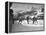 US Hockey Team Playing the Swiss at the Winter Olympics-null-Framed Premier Image Canvas