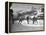 US Hockey Team Playing the Swiss at the Winter Olympics-null-Framed Premier Image Canvas