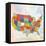 US    lower 48, states, us map-Robbin Rawlings-Framed Stretched Canvas