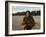 US Marine Holding an Injured Vietnamese Child-Paul Schutzer-Framed Photographic Print