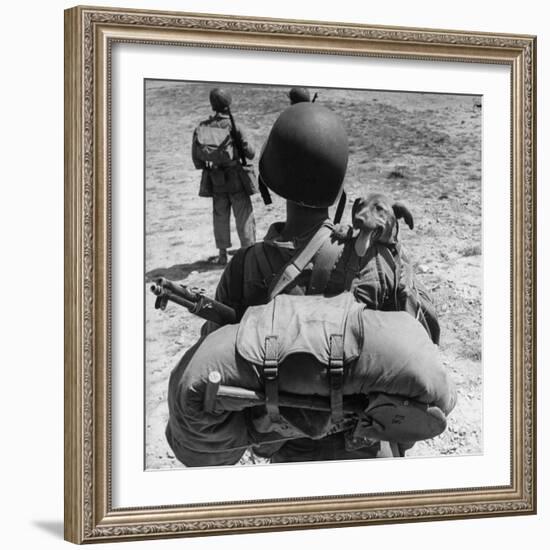 US Marine Jesse Goin Carrying His Dog Towards the Front During the Fighting on Kwajalein-George Strock-Framed Photographic Print