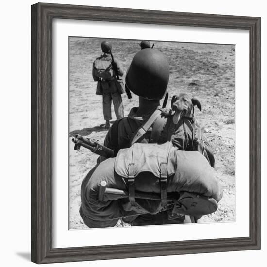 US Marine Jesse Goin Carrying His Dog Towards the Front During the Fighting on Kwajalein-George Strock-Framed Photographic Print