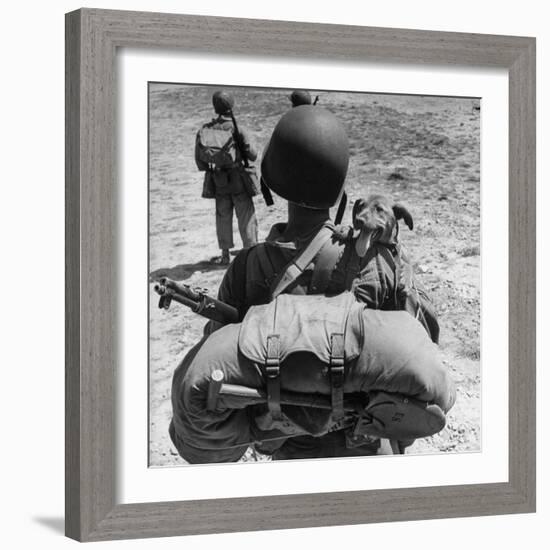 US Marine Jesse Goin Carrying His Dog Towards the Front During the Fighting on Kwajalein-George Strock-Framed Photographic Print