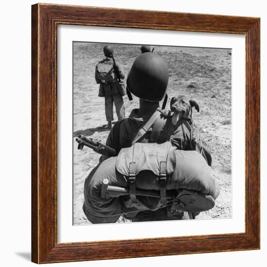 US Marine Jesse Goin Carrying His Dog Towards the Front During the Fighting on Kwajalein-George Strock-Framed Photographic Print