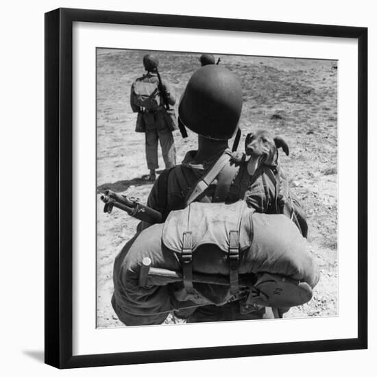 US Marine Jesse Goin Carrying His Dog Towards the Front During the Fighting on Kwajalein-George Strock-Framed Photographic Print