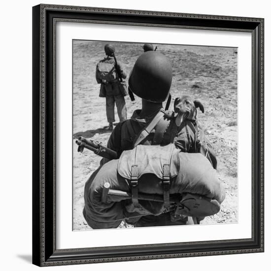 US Marine Jesse Goin Carrying His Dog Towards the Front During the Fighting on Kwajalein-George Strock-Framed Photographic Print