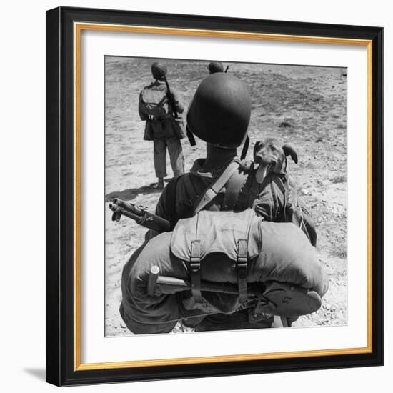 US Marine Jesse Goin Carrying His Dog Towards the Front During the Fighting on Kwajalein-George Strock-Framed Photographic Print