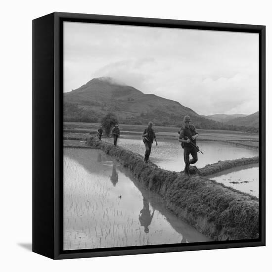 US Marines Move Along Rice Paddy Dikes in Pursuit of Viet Cong, Dec. 1965-null-Framed Stretched Canvas