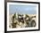 US Marines Prepare to Fire a Howitzer Near Baghdad, Iraq, January 6, 2007-Stocktrek Images-Framed Photographic Print