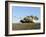 US Marines Provide Security in an M1A1 Abrams Tank-Stocktrek Images-Framed Photographic Print