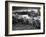 US Marines Unload Equipment and Supplies Onto the Sands of Iwo Jima from Large Coast Guard-null-Framed Photographic Print