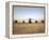 US Military Vehicles and Aircraft Lined Up on the Taxiway at Camp Speicher, Iraq-null-Framed Premier Image Canvas