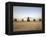 US Military Vehicles and Aircraft Lined Up on the Taxiway at Camp Speicher, Iraq-null-Framed Premier Image Canvas