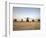 US Military Vehicles and Aircraft Lined Up on the Taxiway at Camp Speicher, Iraq-null-Framed Photographic Print