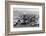 Us Navy Aircraft Carrier before the Attack Agaist Japan-null-Framed Photographic Print