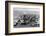 Us Navy Aircraft Carrier before the Attack Agaist Japan-null-Framed Photographic Print