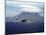 US Navy Pby Patrol Plane Flying Past Segula Island in the Aleutian Islands-Dmitri Kessel-Mounted Photographic Print