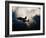 US Navy SBD Dauntless Dive Bombers in Flight-null-Framed Photographic Print