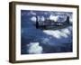 US Navy SBD Dauntless in Flight During Palau Islands Air Raid Attack-J. R. Eyerman-Framed Photographic Print