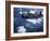 US Navy SBD Dauntless in Flight During Palau Islands Air Raid Attack-J^ R^ Eyerman-Framed Photographic Print