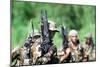 US Navy SEALs in Warfare Training, Aug. 1, 1987-null-Mounted Photo