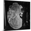 US Navy Technician Marking Radar Data on Chart, Tracking Enemy Japanese Ships in WWII Pacific-null-Mounted Photographic Print