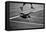 US Open Tennis NYC-null-Framed Stretched Canvas