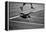 US Open Tennis NYC-null-Framed Stretched Canvas