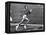 US Runner Wilma Rudolph at Olympics-Mark Kauffman-Framed Premier Image Canvas